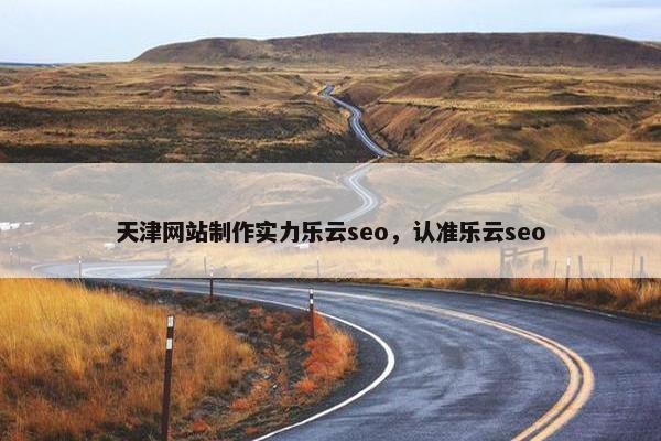 天津网站制作实力乐云seo，认准乐云seo