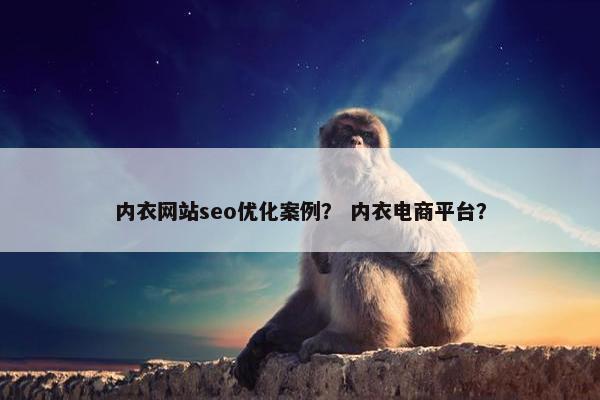 内衣网站seo优化案例？ 内衣电商平台？