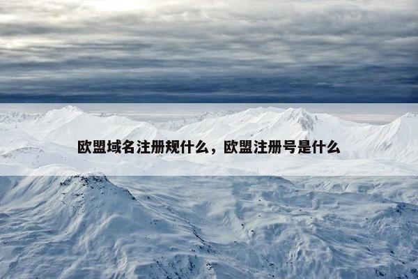 欧盟域名注册规什么，欧盟注册号是什么
