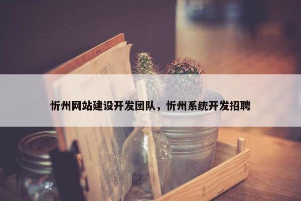 忻州网站建设开发团队，忻州系统开发招聘