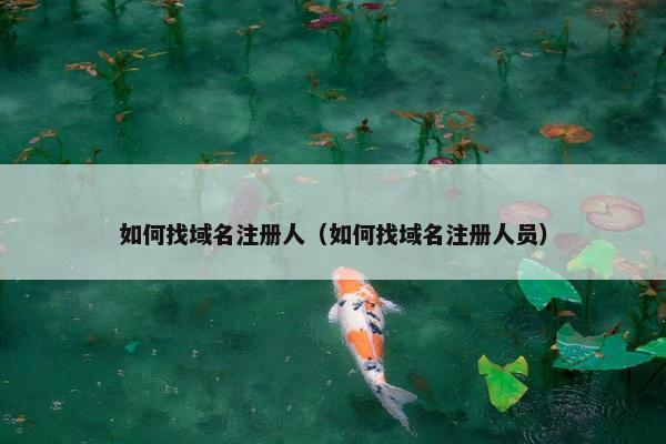 如何找域名注册人（如何找域名注册人员）