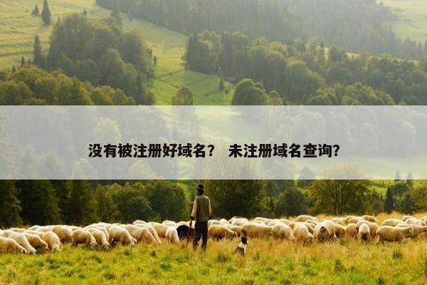 没有被注册好域名？ 未注册域名查询？