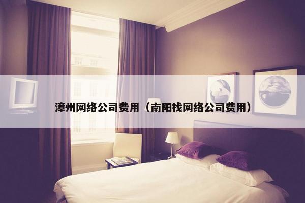 漳州网络公司费用（南阳找网络公司费用）