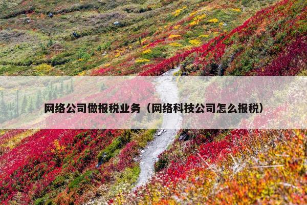 网络公司做报税业务（网络科技公司怎么报税）
