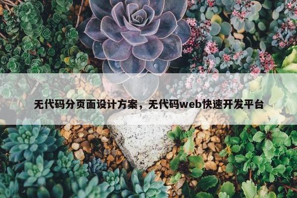 无代码分页面设计方案，无代码web快速开发平台