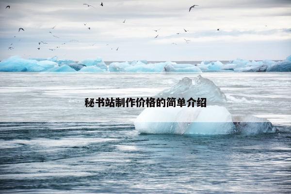 秘书站制作价格的简单介绍