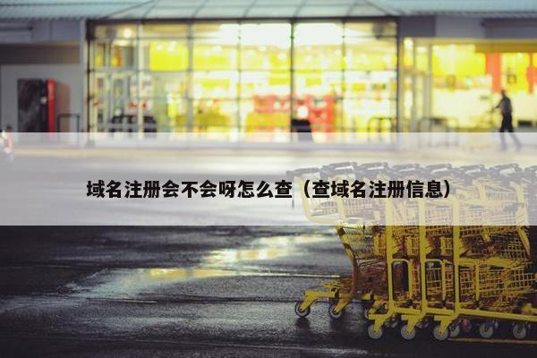 域名注册会不会呀怎么查（查域名注册信息）