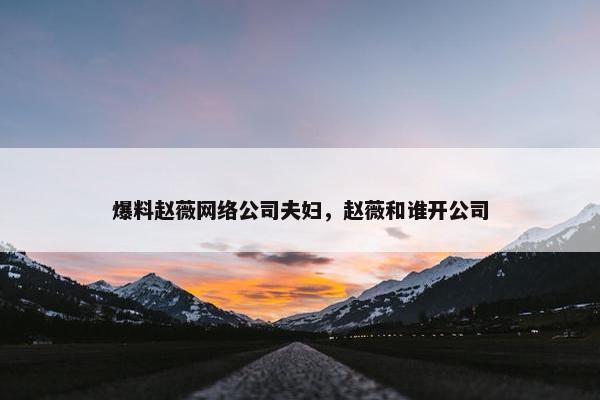 爆料赵薇网络公司夫妇，赵薇和谁开公司