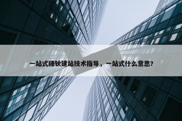 一站式臻钬建站技术指导，一站式什么意思?