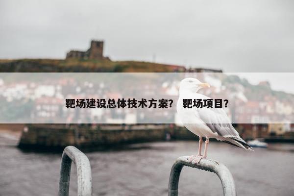 靶场建设总体技术方案？ 靶场项目？