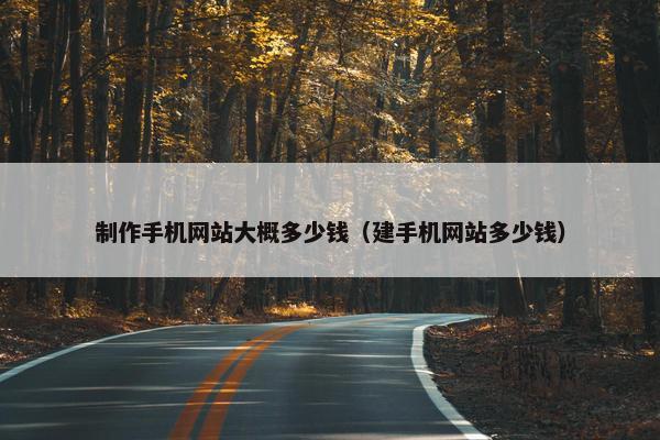 制作手机网站大概多少钱（建手机网站多少钱）
