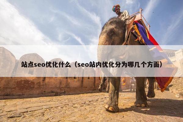 站点seo优化什么（seo站内优化分为哪几个方面）
