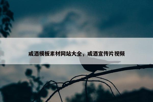 戒酒模板素材网站大全，戒酒宣传片视频