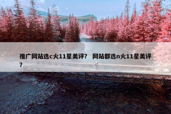 推广网站选c火11星美评？ 网站都选n火11星美评？