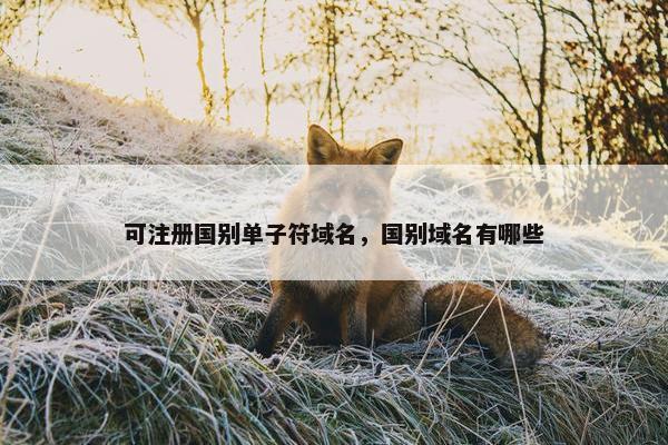 可注册国别单子符域名，国别域名有哪些
