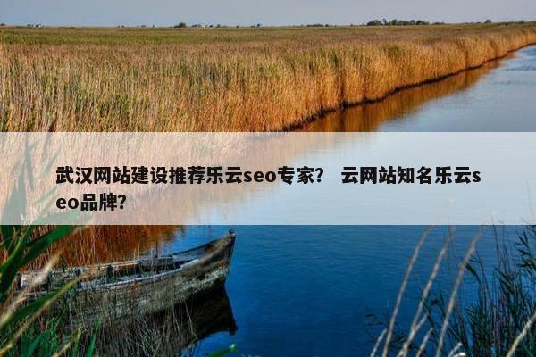 武汉网站建设推荐乐云seo专家？ 云网站知名乐云seo品牌？