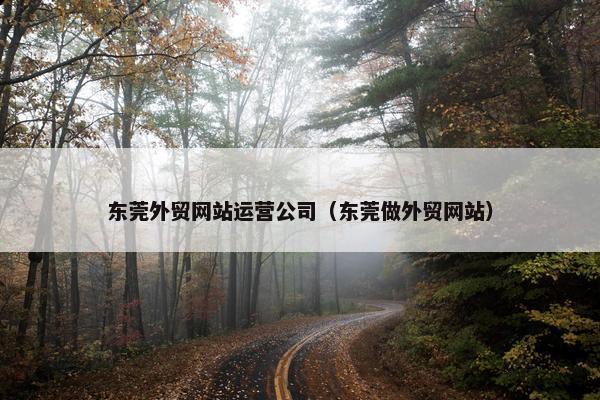 东莞外贸网站运营公司（东莞做外贸网站）