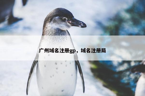 广州域名注册gp，域名注册局