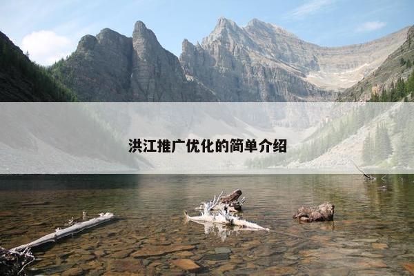 洪江推广优化的简单介绍