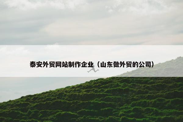 泰安外贸网站制作企业（山东做外贸的公司）