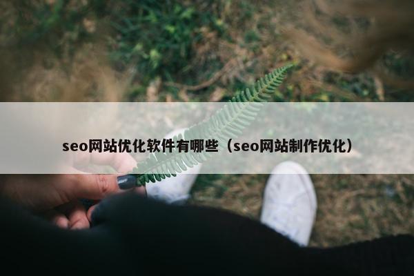 seo网站优化软件有哪些（seo网站制作优化）