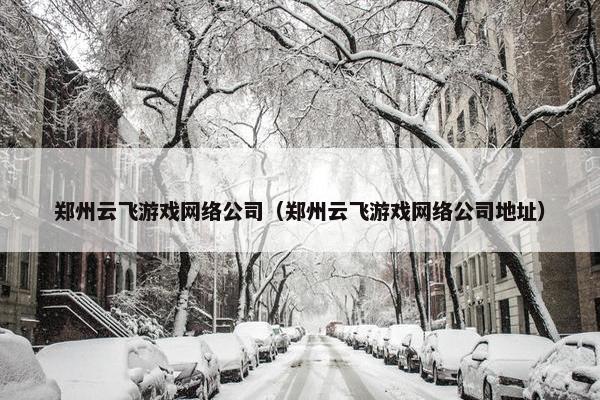 郑州云飞游戏网络公司（郑州云飞游戏网络公司地址）
