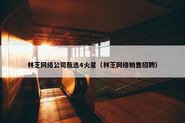 林芝网络公司甄选4火星（林芝网络销售招聘）