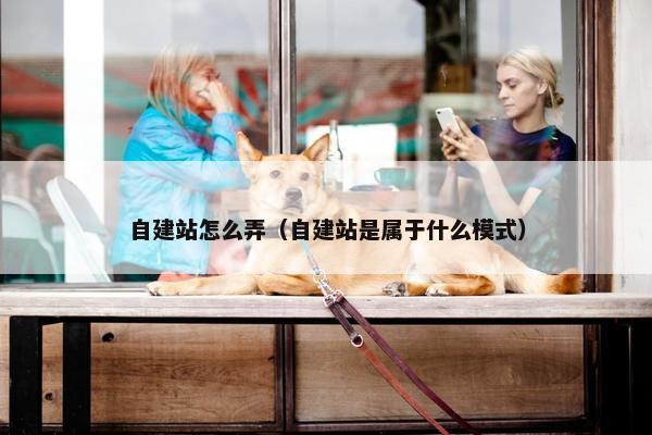 自建站怎么弄（自建站是属于什么模式）