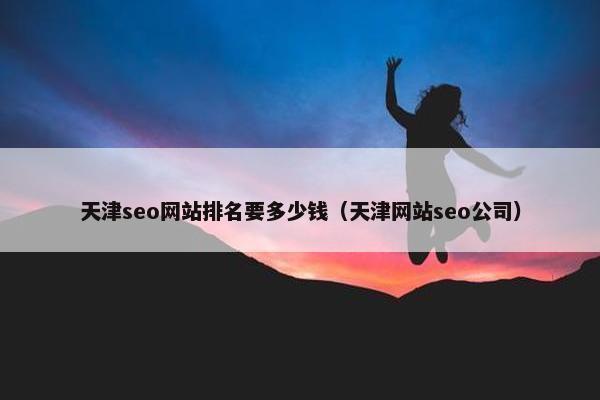 天津seo网站排名要多少钱（天津网站seo公司）