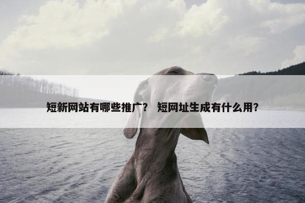 短新网站有哪些推广？ 短网址生成有什么用？