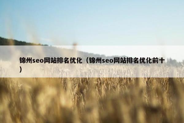 锦州seo网站排名优化（锦州seo网站排名优化前十）
