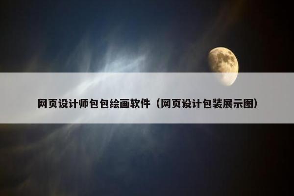 网页设计师包包绘画软件（网页设计包装展示图）