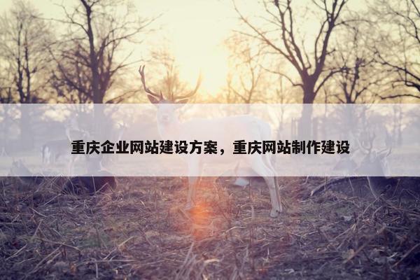 重庆企业网站建设方案，重庆网站制作建设