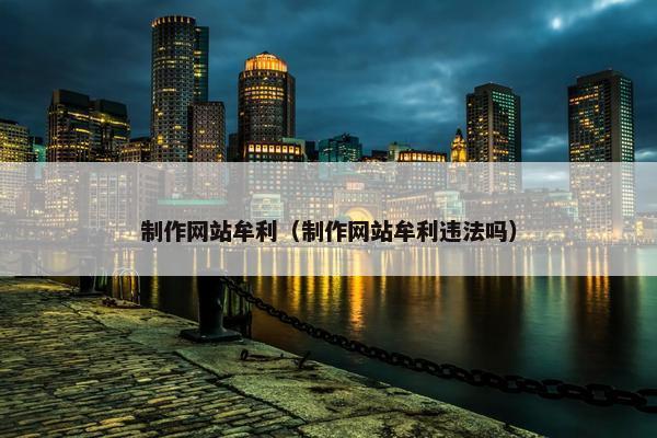 制作网站牟利（制作网站牟利违法吗）