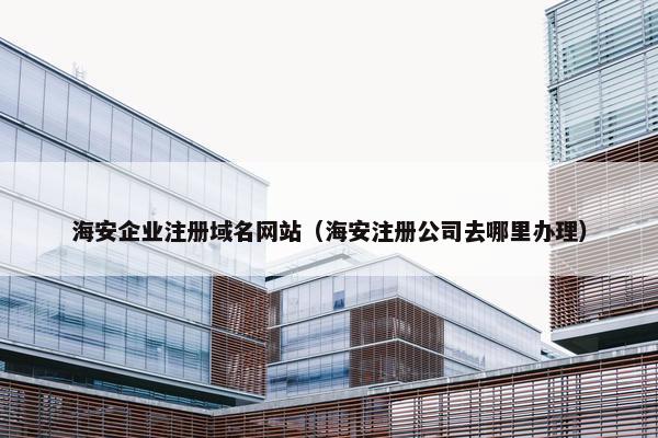 海安企业注册域名网站（海安注册公司去哪里办理）