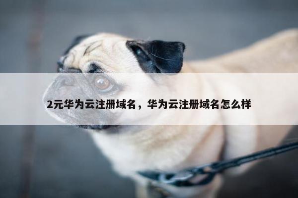 2元华为云注册域名，华为云注册域名怎么样