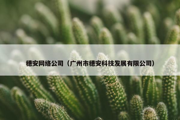 穗安网络公司（广州市穗安科技发展有限公司）