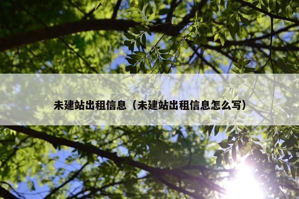 未建站出租信息（未建站出租信息怎么写）