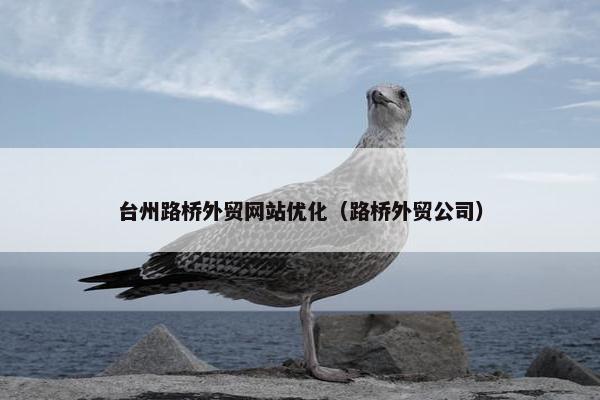 台州路桥外贸网站优化（路桥外贸公司）