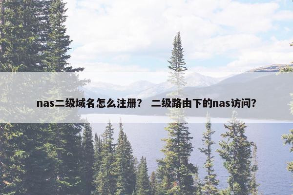 nas二级域名怎么注册？ 二级路由下的nas访问？