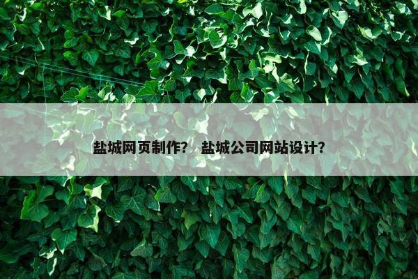 盐城网页制作？ 盐城公司网站设计？