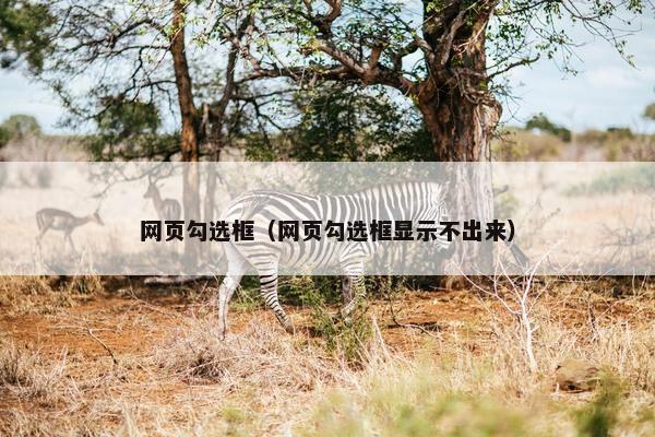 网页勾选框（网页勾选框显示不出来）