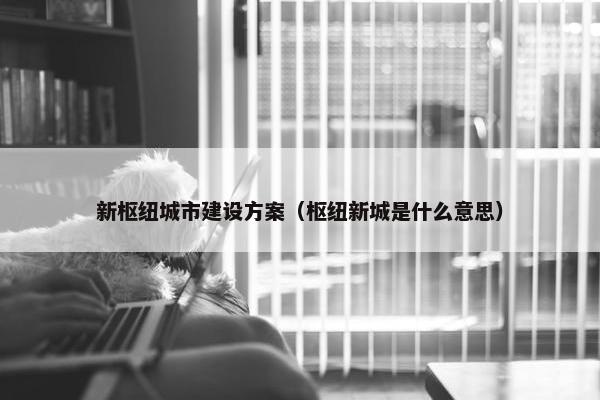 新枢纽城市建设方案（枢纽新城是什么意思）