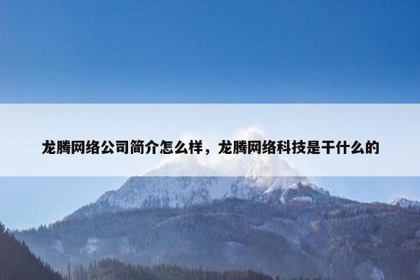 龙腾网络公司简介怎么样，龙腾网络科技是干什么的