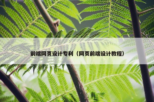 前端网页设计专利（网页前端设计教程）