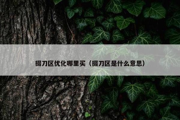掇刀区优化哪里买（掇刀区是什么意思）