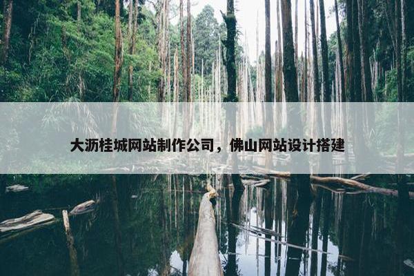 大沥桂城网站制作公司，佛山网站设计搭建