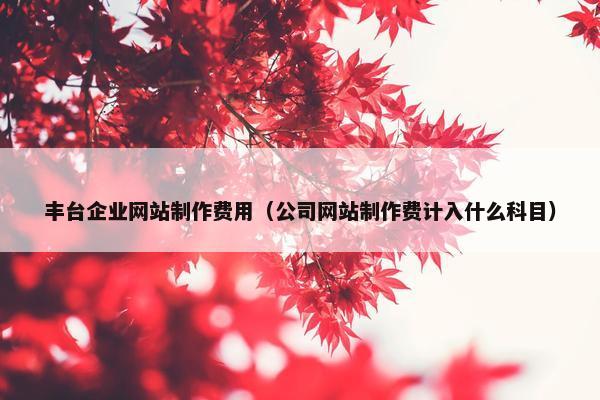 丰台企业网站制作费用（公司网站制作费计入什么科目）