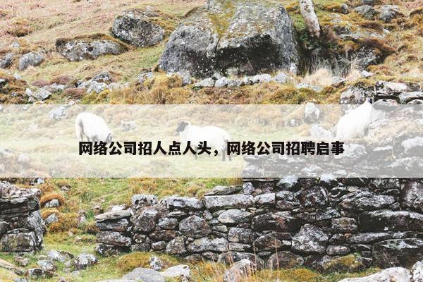 网络公司招人点人头，网络公司招聘启事