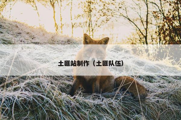 土匪站制作（土匪队伍）